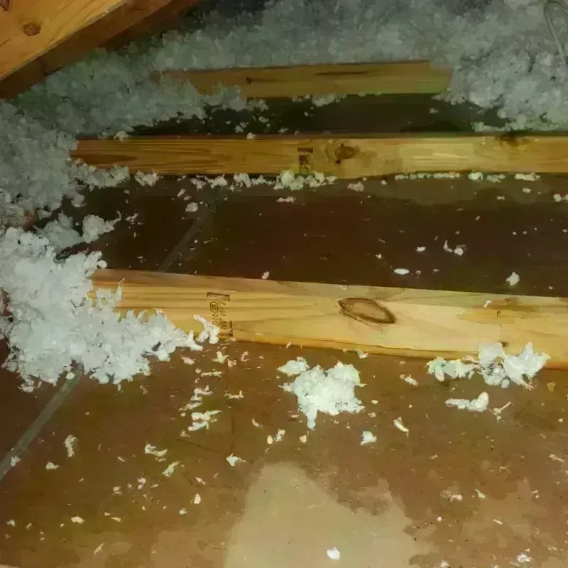 Attic Water Damage in Longmont, CO