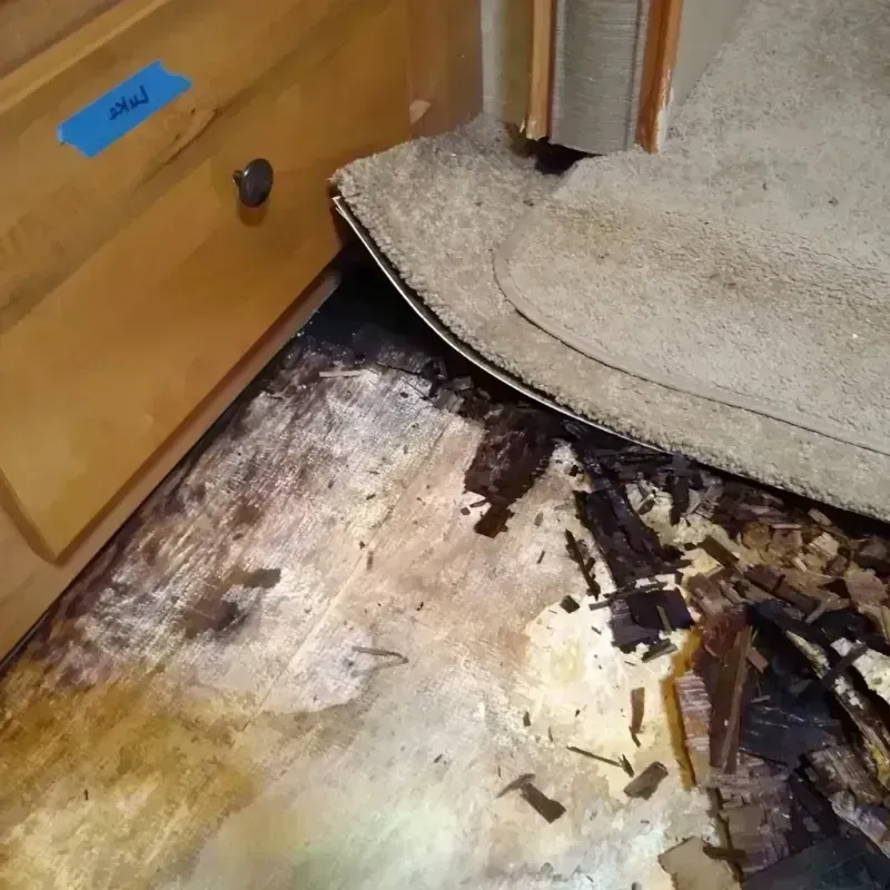 Wood Floor Water Damage in Longmont, CO